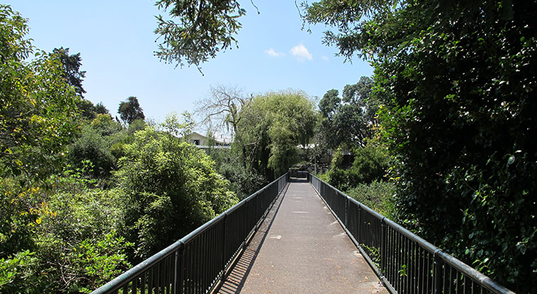 Ōtara Path - Access bridge from Johnstones Road.