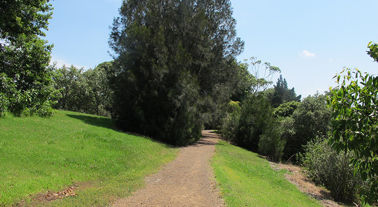 Ōtara Path - Path between Ōtara Creek and Ngati Ōtara Park.