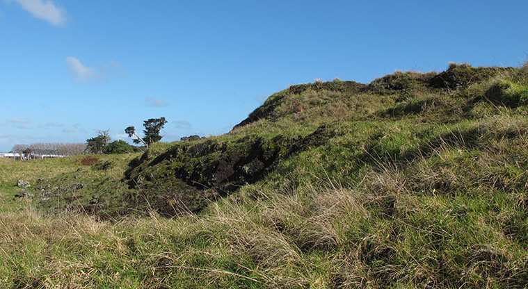 Ōtuataua Puketāpapa Cone Path - Volcanic features along the path.
