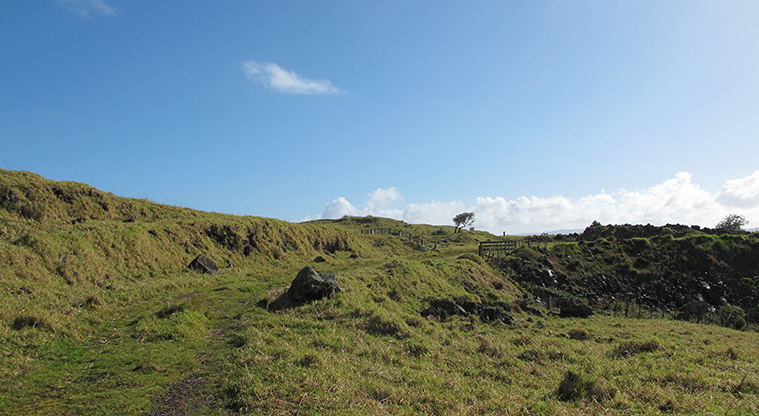 Ōtuataua Stonefields Path - The beginning of the path through the stonefields.