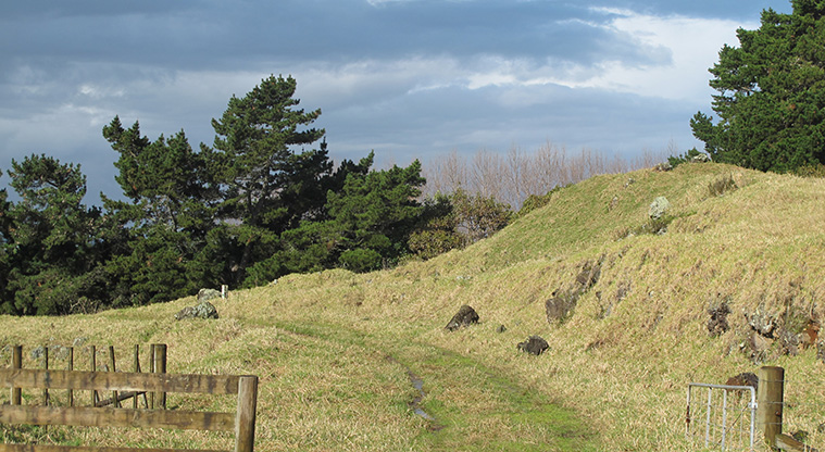 Ōtuataua Stonefields Path - A typical section of the path through the paddocks.