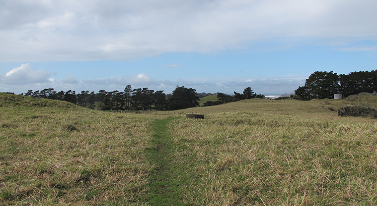 Ōtuataua Stonefields Path - A typical section of the path through the paddocks.