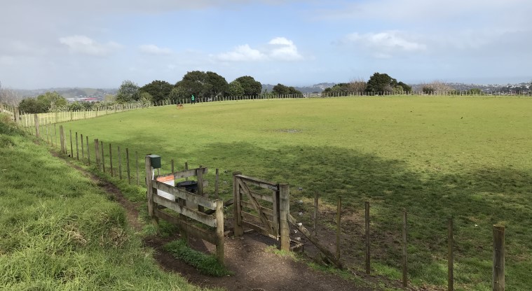 Ōwairaka / Te Ahi-kā-a-Rakataura / Mt Albert Path - Large fenced area where dogs can be exercised off-leash.
