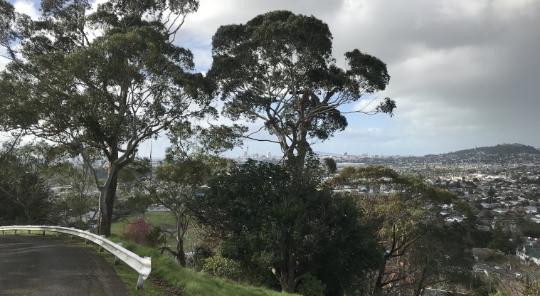 Ōwairaka / Te Ahi-kā-a-Rakataura / Mt Albert Path - A section of the summit road with views across the Auckland isthmus.