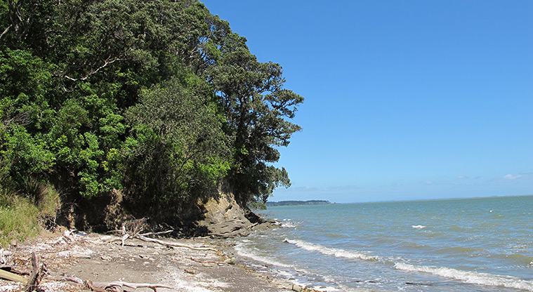 Pae-mohani / Manukau Domain Path