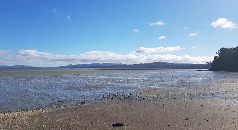 Pae-mohani / Manukau Domain Path - When you reach the beach: great views to Manukau Heads