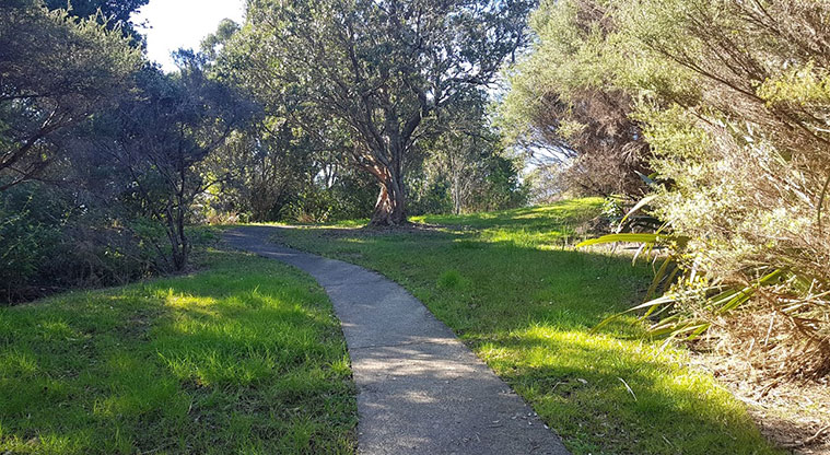 Pae-mohani / Manukau Domain Path - At the top of the stairs the path is sealed