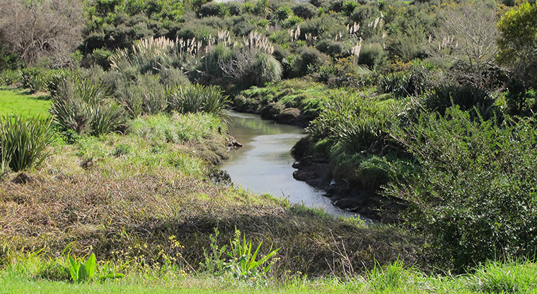 Pakuranga Creek Path