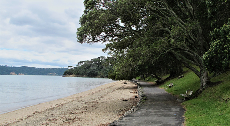 Point Chevalier Path