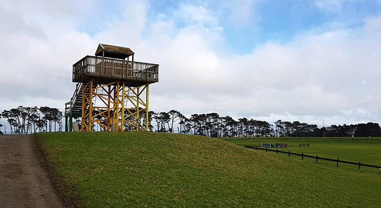 Puhinui Path - The viewing tower at Puhinui Reserve.