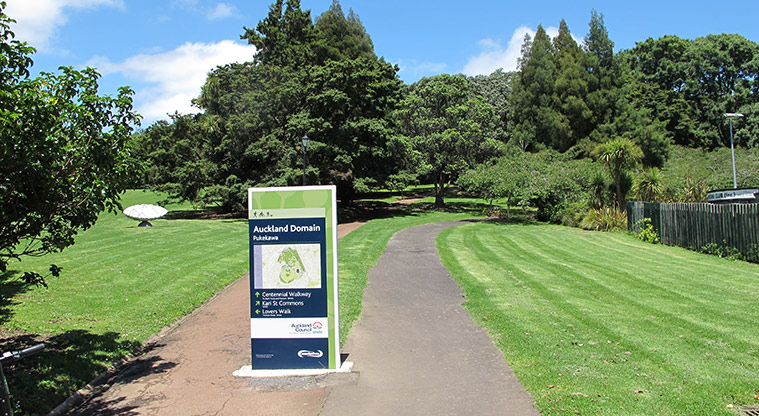 Pukekawa Centennial Glade Path - Path start in lower Domain.