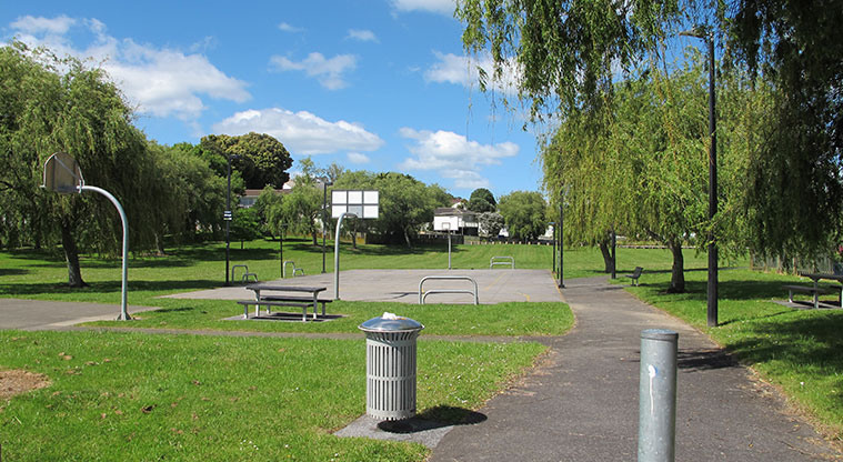 Puketāpapa Path - Molley Green Reserve Basketball Court No. 2.
