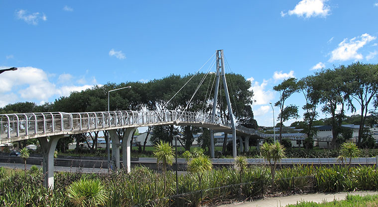 Puketāpapa Path - State Highway 20 overbridge.