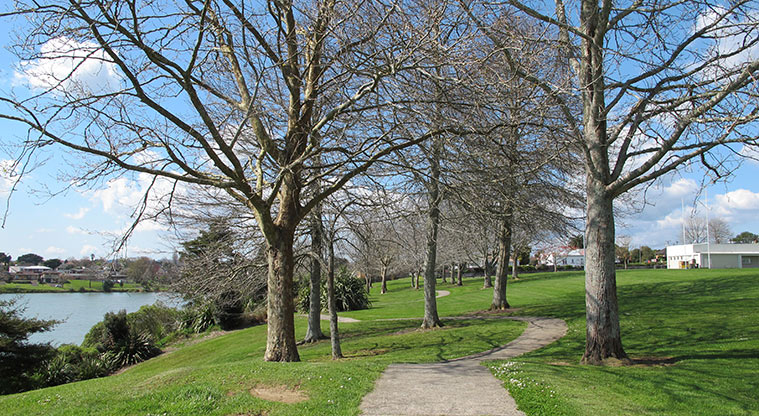 Pāhurehure Esplanade Path – Weave between trees.