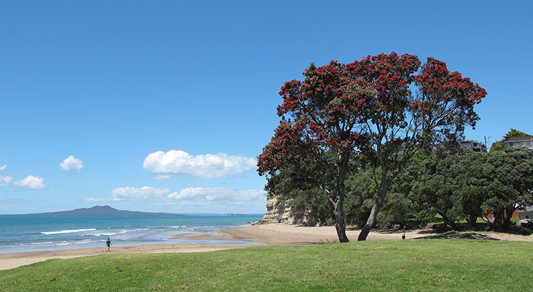 Rothesay to Browns Bay Path