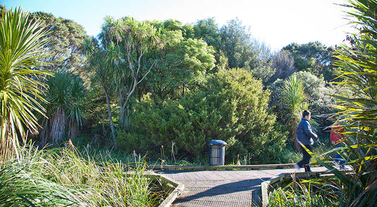 Roy Clements Treeway Path