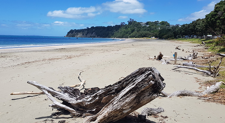 Scandrett to Martins Bay Path