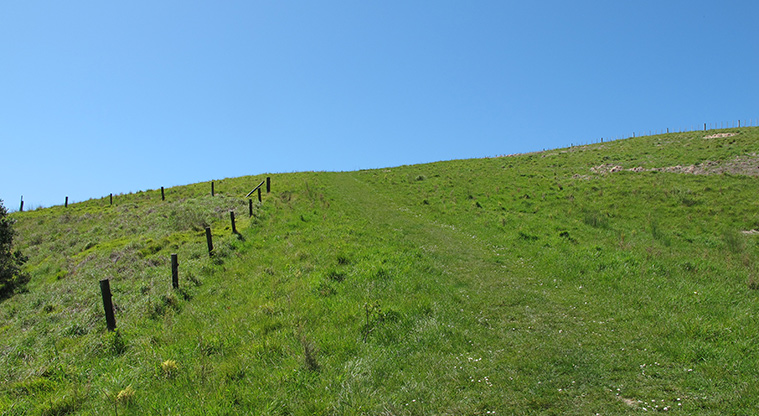 Shakespear Lookout Path - Path to lookout through steep section of farmland.