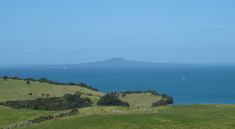 Shakespear Lookout Track