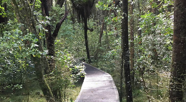 Smiths Bush Path