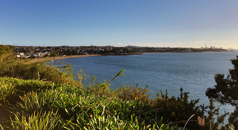 St Heliers to Achilles Point Path