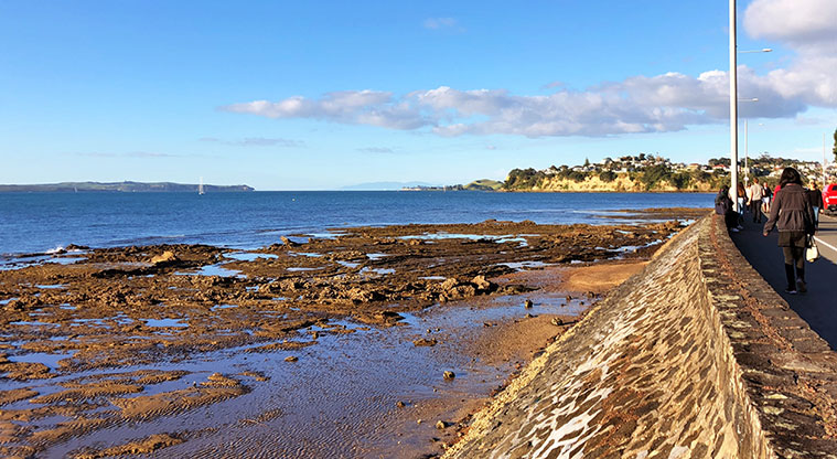 St Heliers to Mission Bay Path