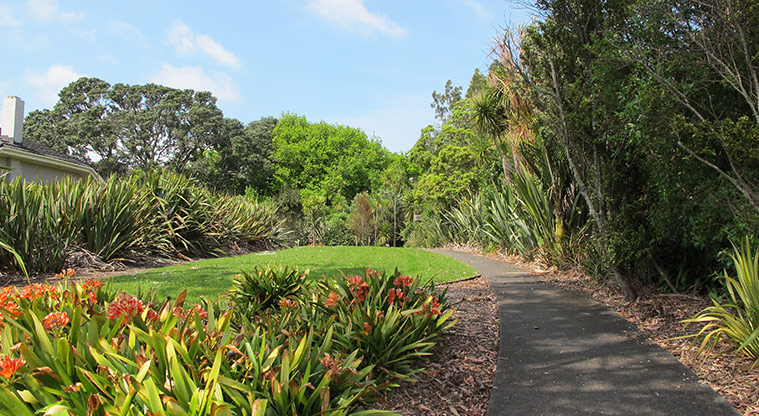 St Johns Bush Path