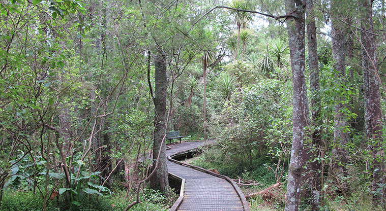 Stancich Reserve Path