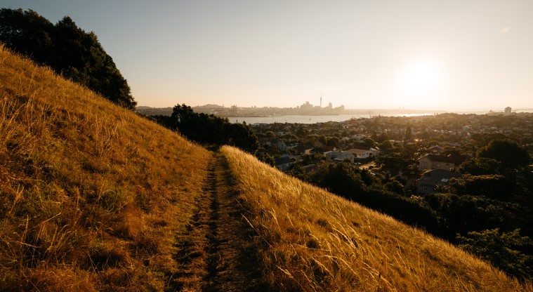 Takarunga / Mt Victoria Path