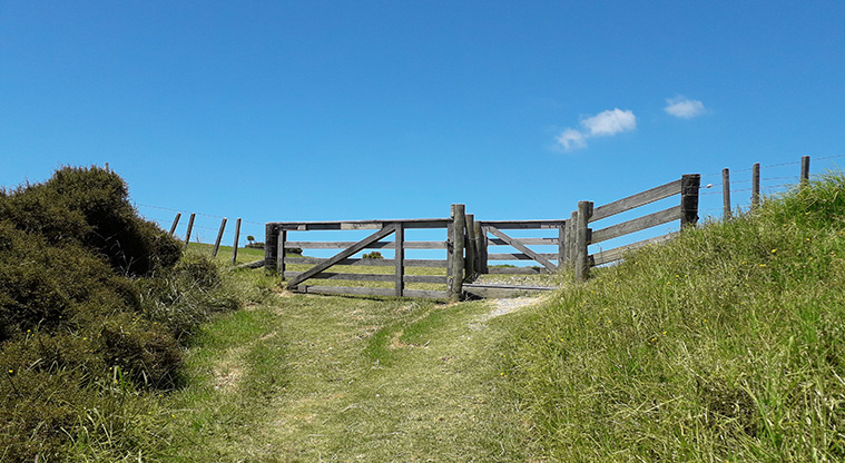 Tāwharanui Ecology Path - Follow the path through the farm gate.