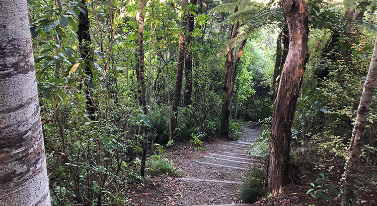 Tāwharanui Ecology Path - Bush section of the trail.