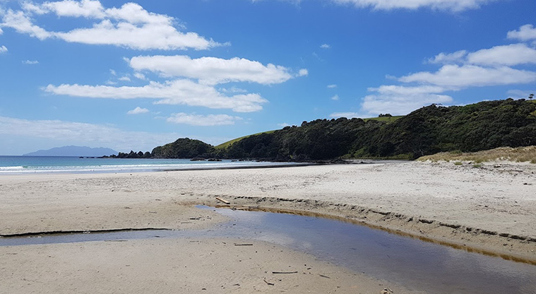 Tāwharanui Ecology Path - Low tide option: Walk along the beach towards the headland.