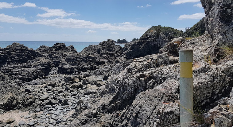 Tāwharanui Ecology Path - Low tide option: Follow yellow markers some rock hopping required.