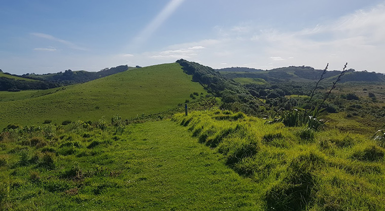 Tāwharanui West End Path - Follow mowed path along ridge.