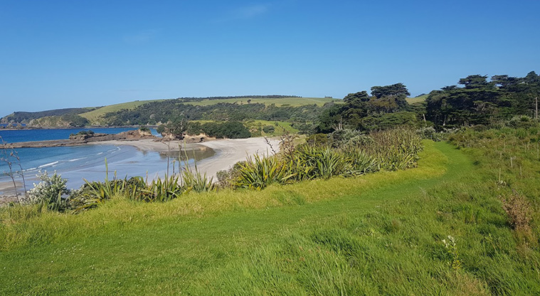 Tāwharanui West End Path - Views of beach from top of ridgeline.