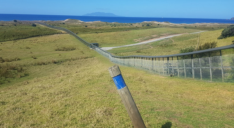 Tāwharanui West End Path- Continue to follow the blue marker posts.