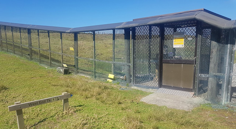 Tāwharanui West End Path - Enter back through the predator control gate.