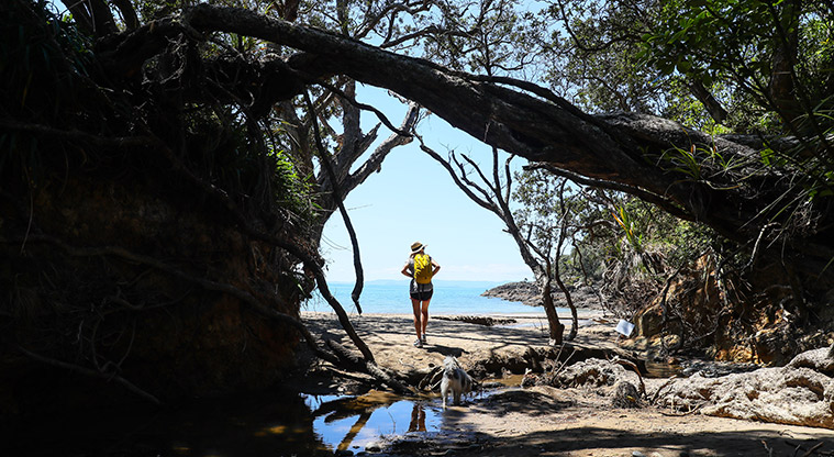 Tawhitokino Beach Track