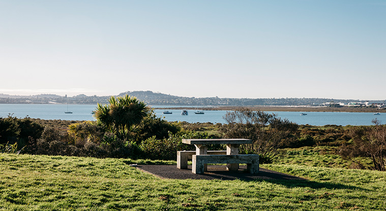 Te Atatū Harbourside Path - Amazing views.