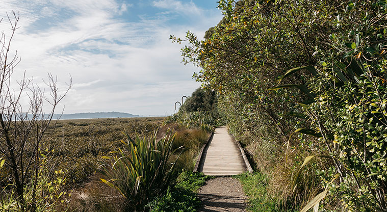 Te Atatū Peninsula North Path - Boardwalk section with great views.