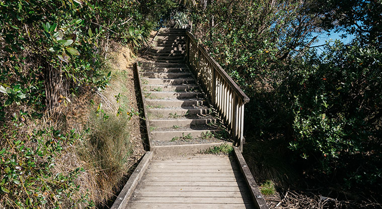 Te Atatū Peninsula North Path - Be prepared for a few steps.