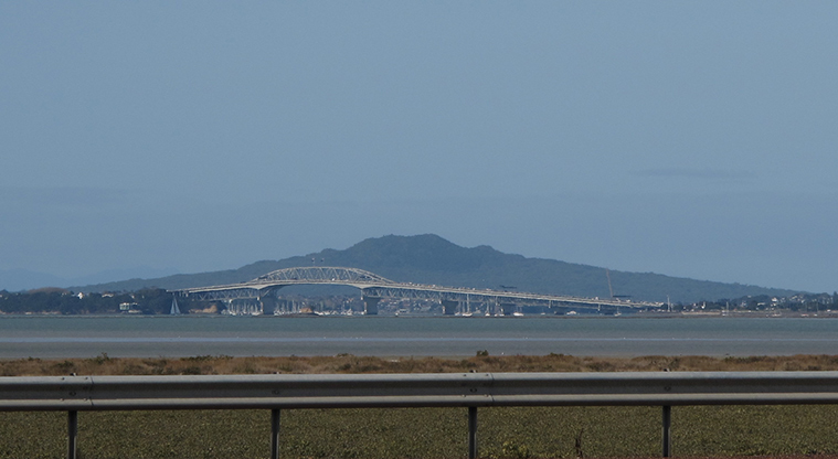 Te Atatu to City Path - Views to Rangitoto and the harbour bridge.