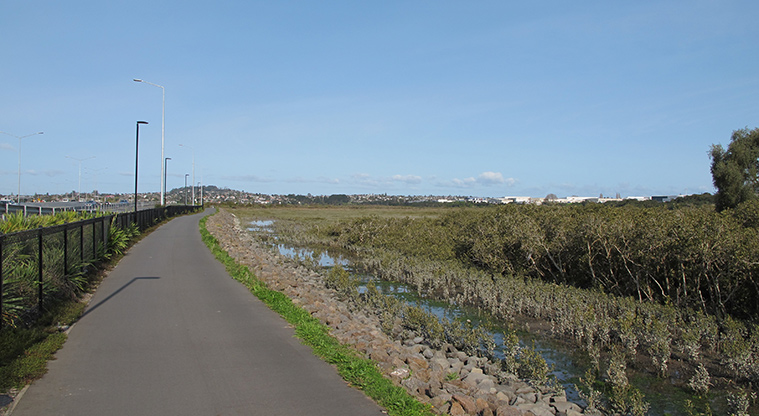 Te Atatu to City Path - Path alongside the causeway.