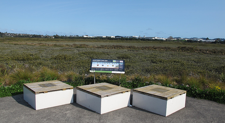 Te Atatu to City Path - Places to stop and look at Motu Manawa – Pollen Island Marine Reserve.
