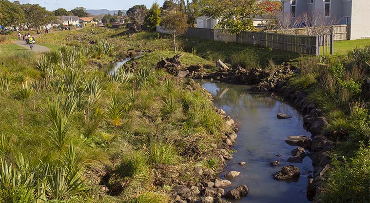 Te Auaunga – Wesley Path