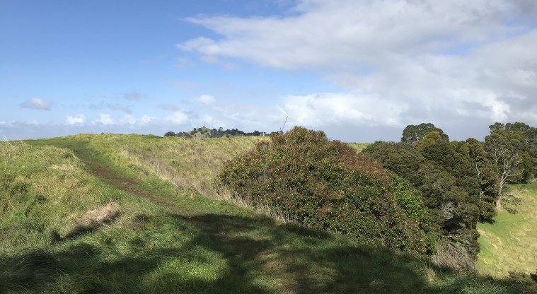 Te Kōpuke / Tītīkōpuke / Mt St John - View of the trees in the crater.