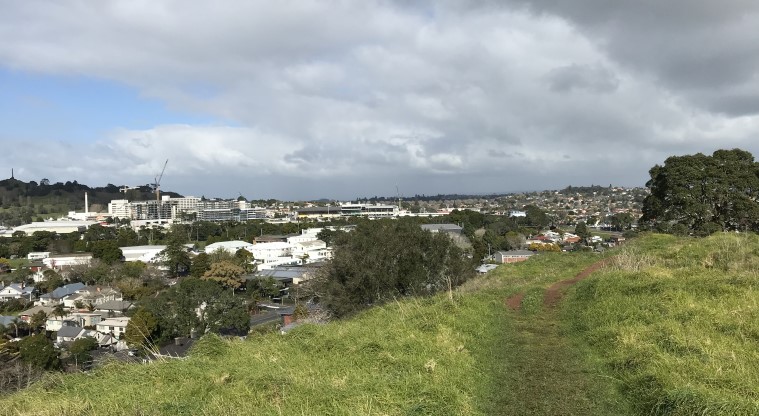 Te Kōpuke / Tītīkōpuke / Mt St John - View overlooking Auckland from the track around the tihi (summit) crater rim.