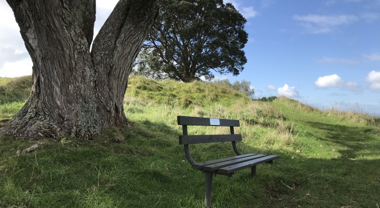 Te Kōpuke / Tītīkōpuke / Mt St John - A bench on the crater rim, under the shade of a tree.