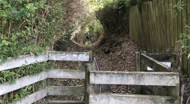 Te Kōpuke / Tītīkōpuke / Mt St John - A gate leading to another access route from Belvedere Street.