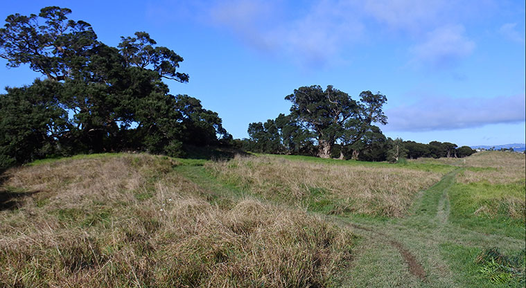 Te Toki Circuit Path